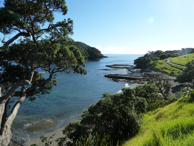 "Goat Island Marine Reserve"